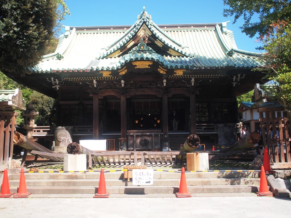 P1018928s.jpg